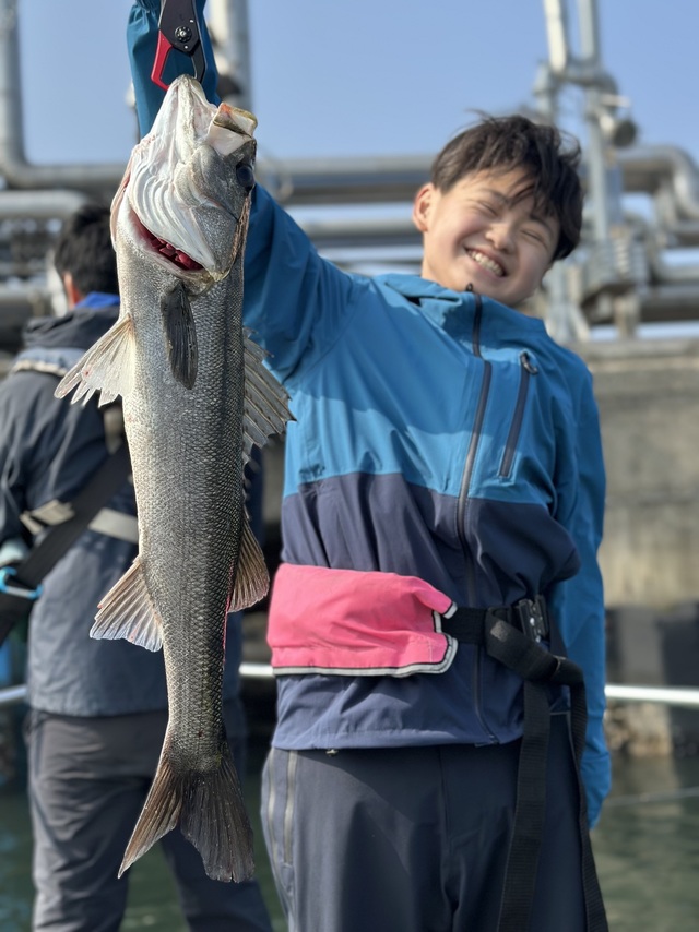 シーバス(スズキ)