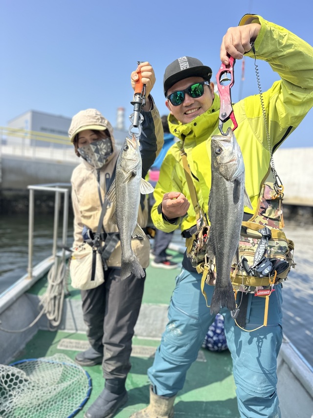 シーバス(スズキ)