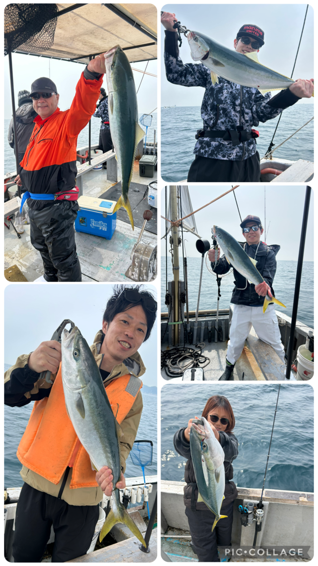 ブリ・メジロ(ブリ)