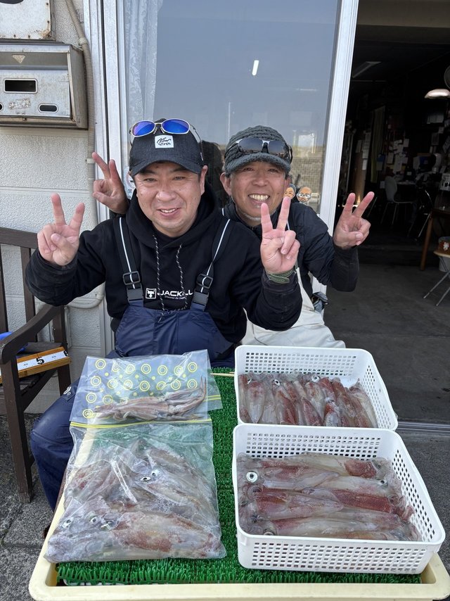 マルイカ(ケンサキイカ)