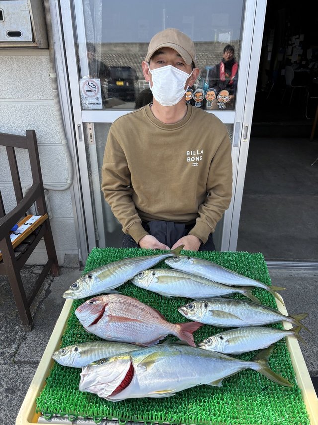 ハナダイ(チダイ)・アジ(マアジ)