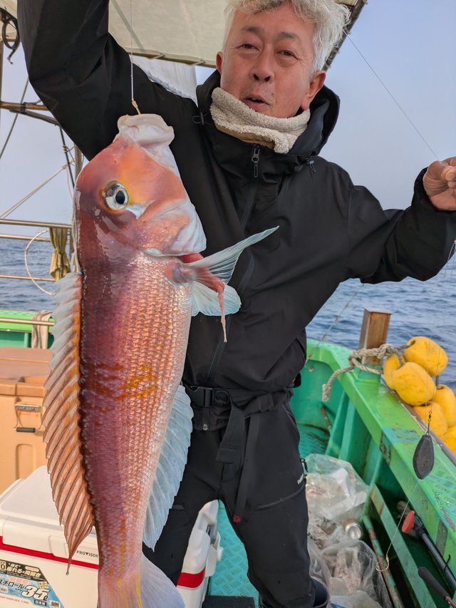 アマダイ(アカアマダイ)