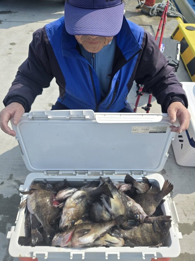 メバル(ウスメバル)