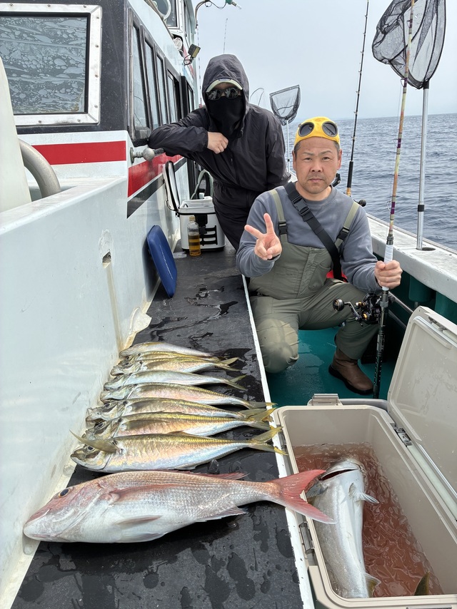 マダイ・マアジ・ブリ