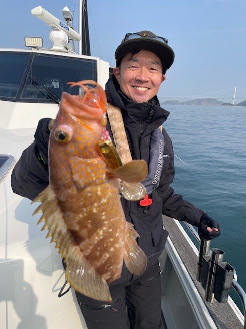 アコウ(キジハタ)