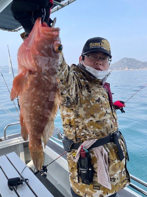 アコウ(キジハタ)