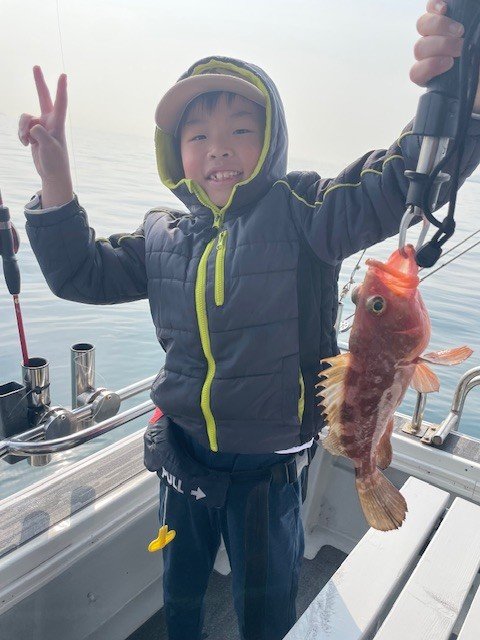 アコウ(キジハタ)