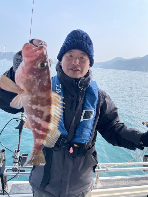 アコウ(キジハタ)