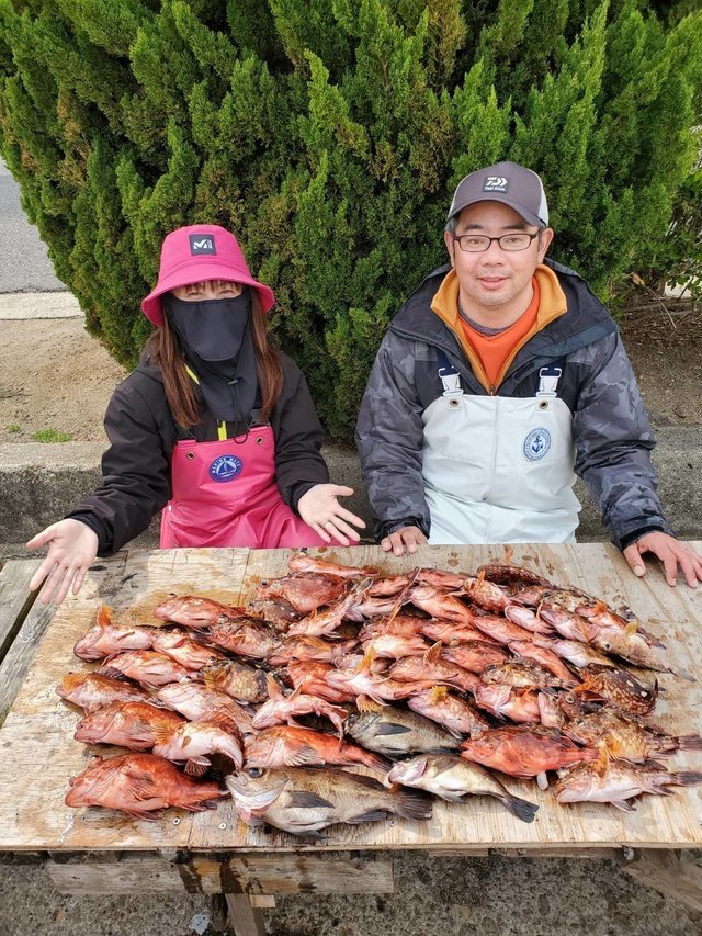 ガシラ(カサゴ)・メバル