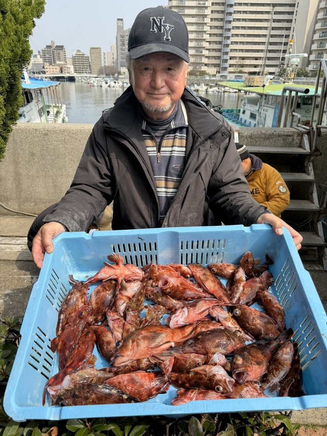 ガシラ(カサゴ)