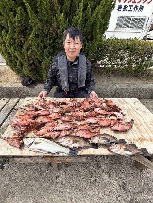 ガシラ(カサゴ)・メバル