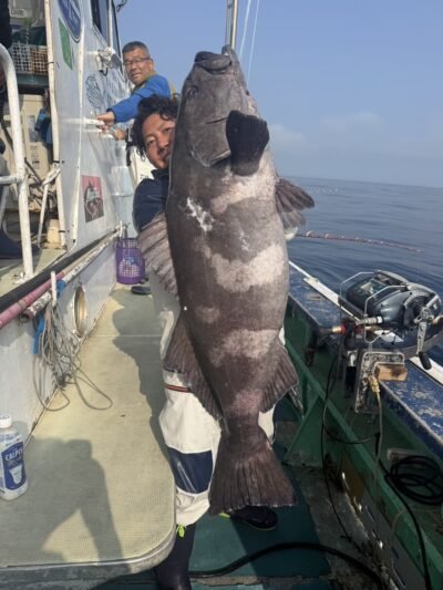 アブラボウズ