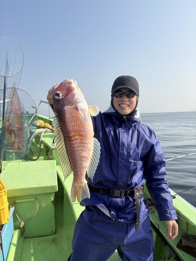 アマダイ(アカアマダイ)