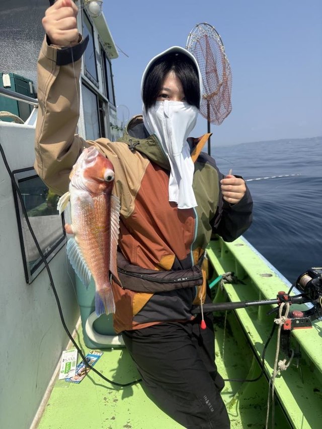 アマダイ(アカアマダイ)