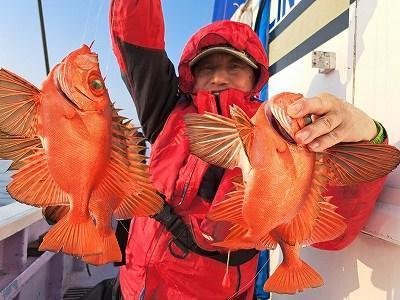 キントキ(チカメキントキ)