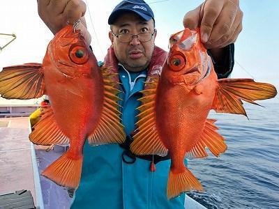 キントキ(チカメキントキ)