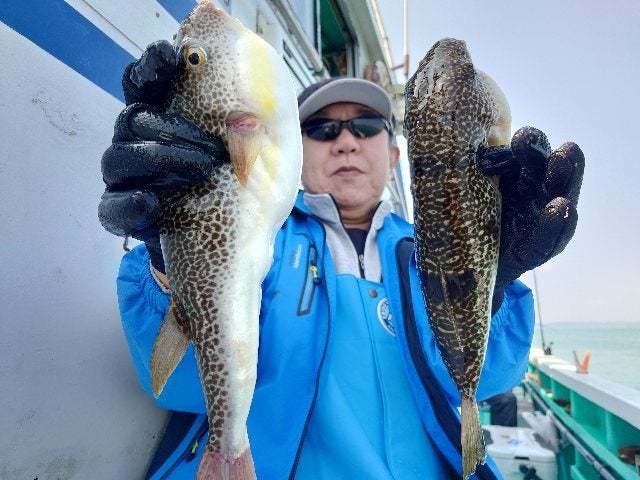 ショウサイフグ