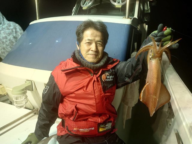 マイカ(ケンサキイカ)