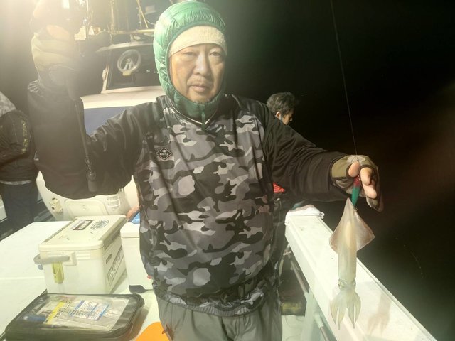 マイカ(ケンサキイカ)