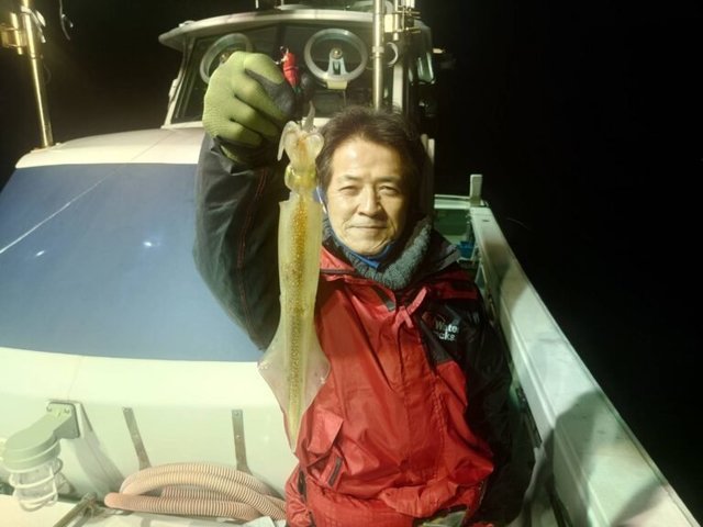 マイカ(ケンサキイカ)