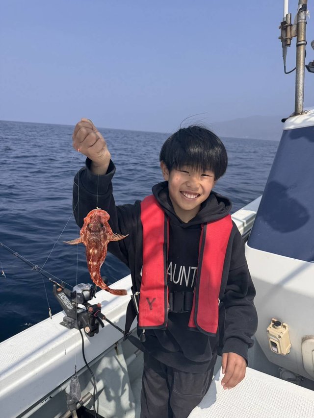 ガシラ(カサゴ)