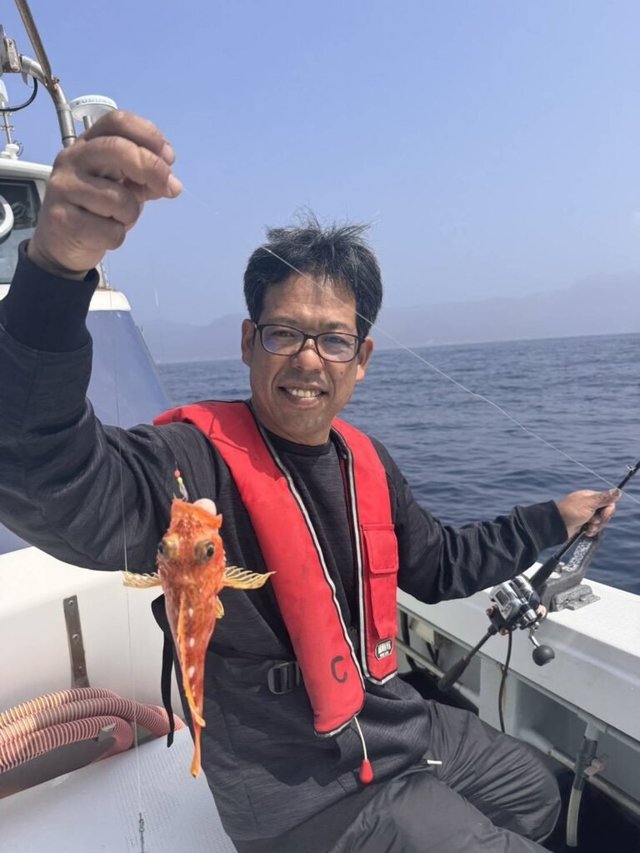 ガシラ(カサゴ)