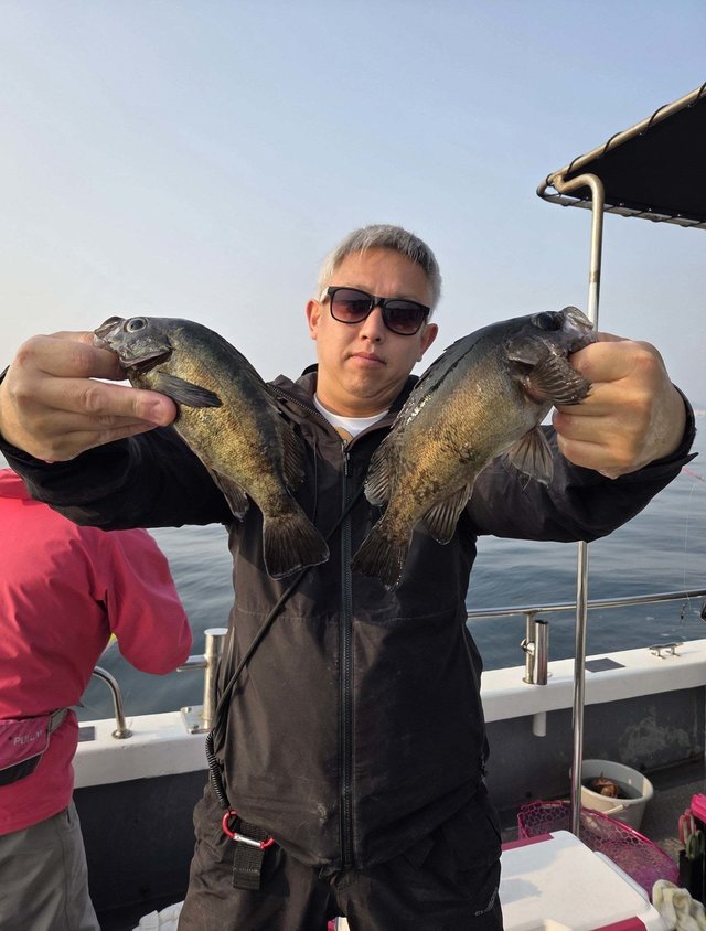 クロメバル(メバル)