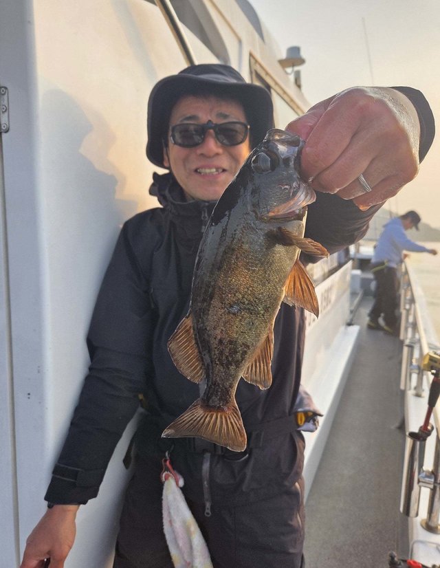 クロメバル(メバル)