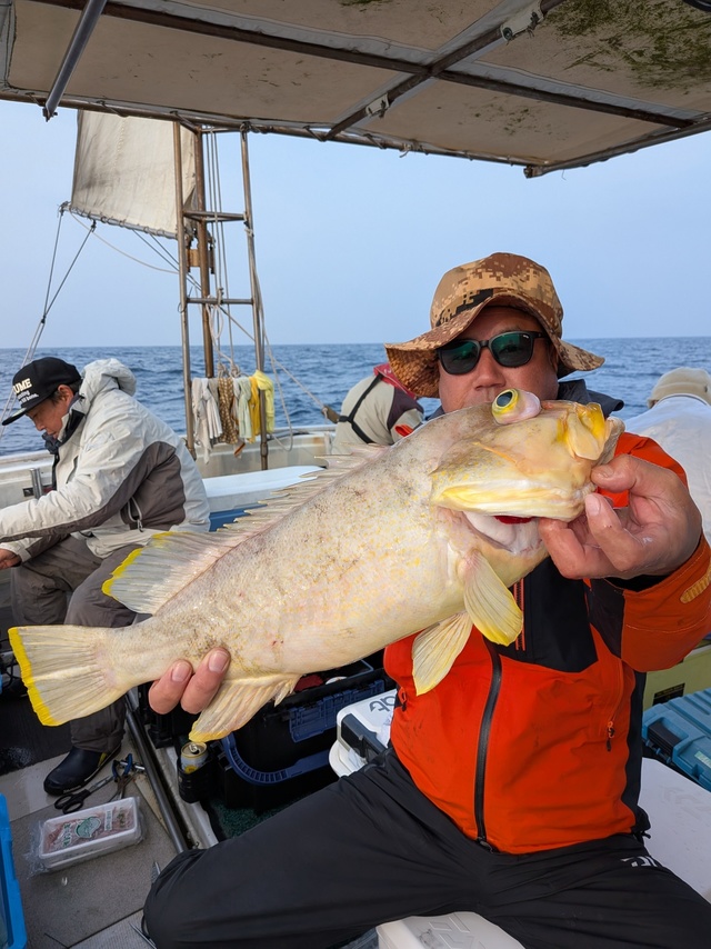 アオナ(アオハタ)