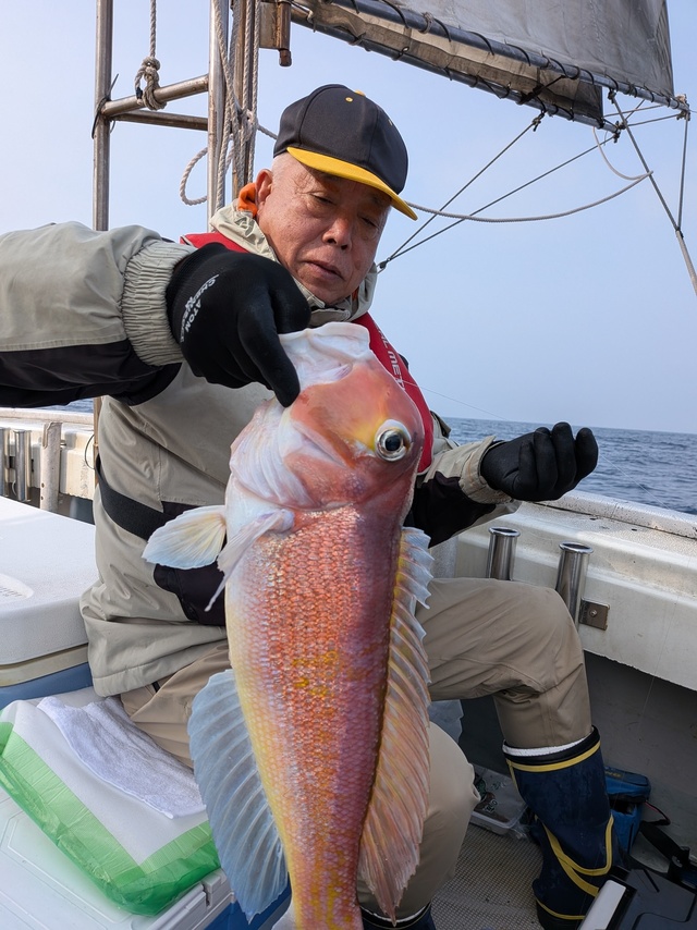 アマダイ(アカアマダイ)