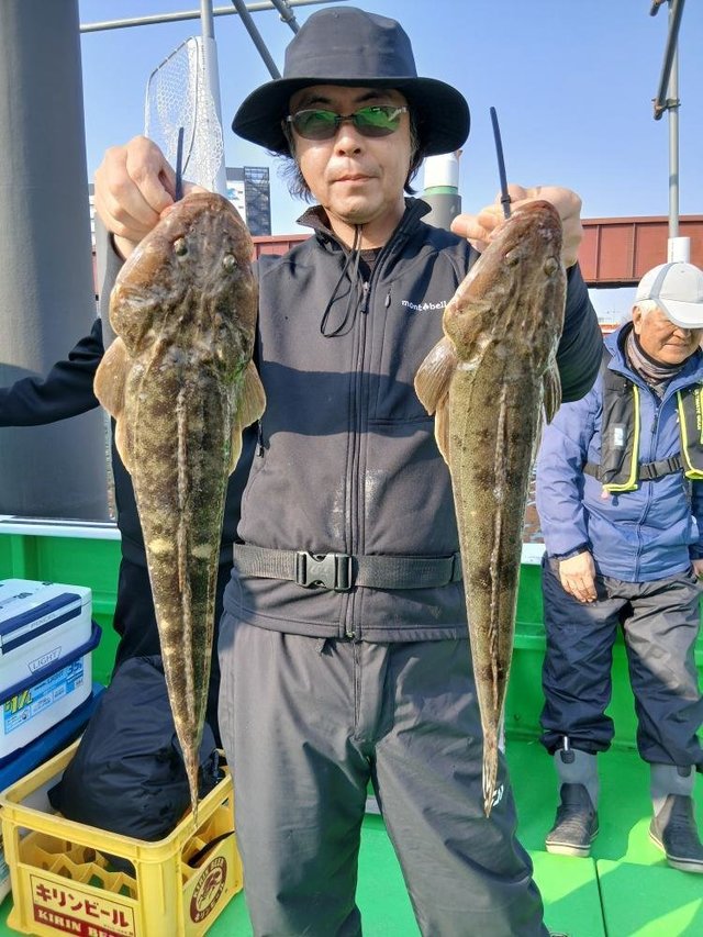 マゴチ
