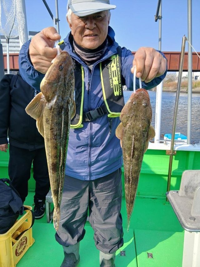 マゴチ