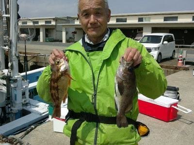 クロメバル(メバル)・アカメバル(メバル)