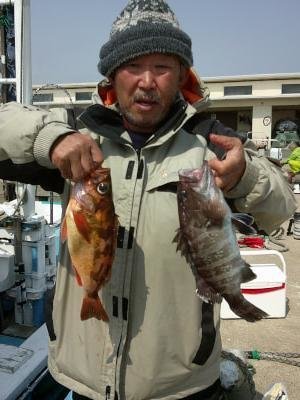 ハタ(マハタ)・アカメバル(メバル)