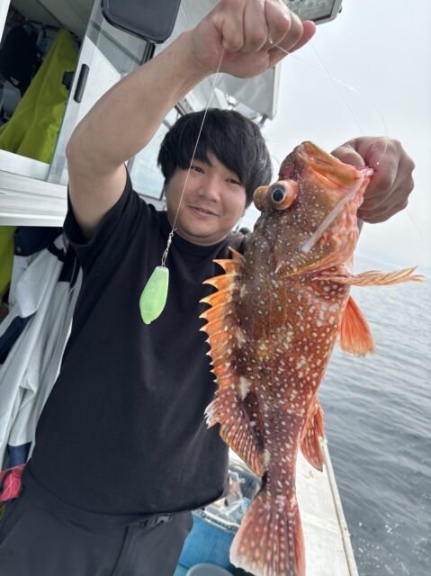 ガシラ(カサゴ)