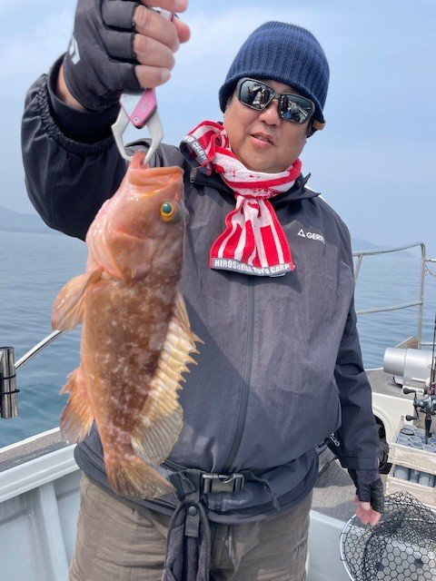 アコウ(キジハタ)