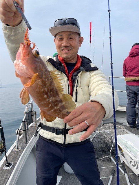 アコウ(キジハタ)