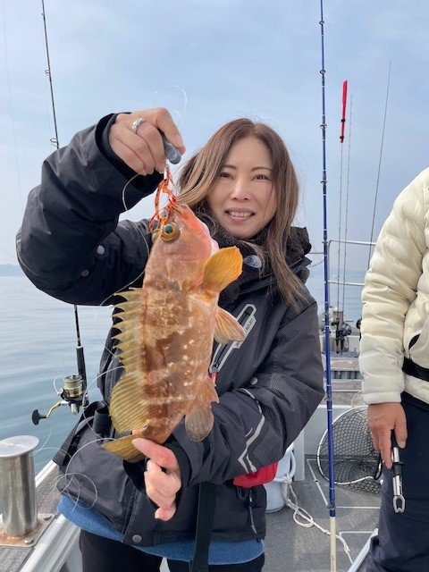 アコウ(キジハタ)