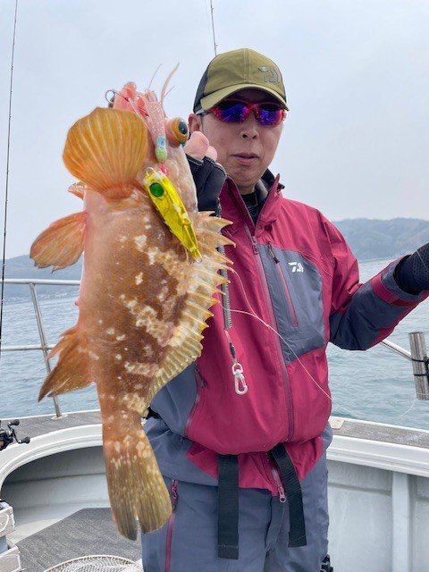 アコウ(キジハタ)