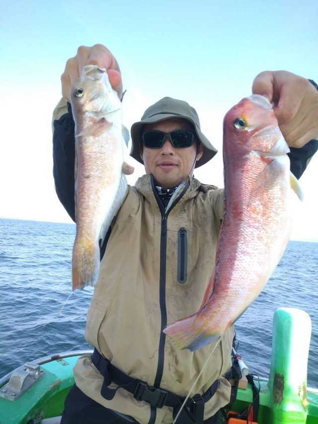 アマダイ(アカアマダイ)