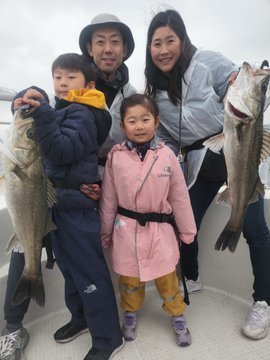 シーバス(スズキ)