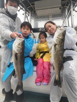 シーバス(スズキ)