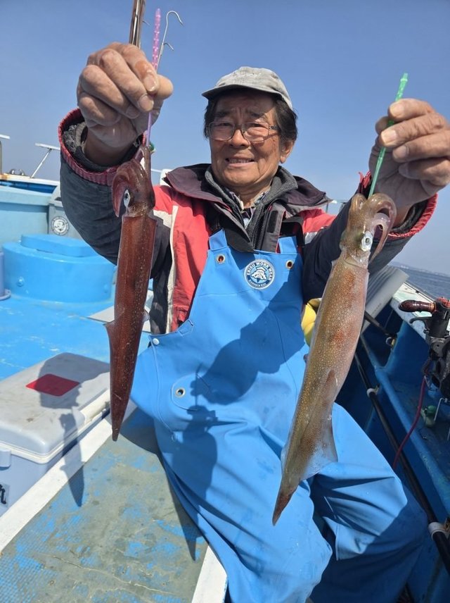 イカ(ヤリイカ)