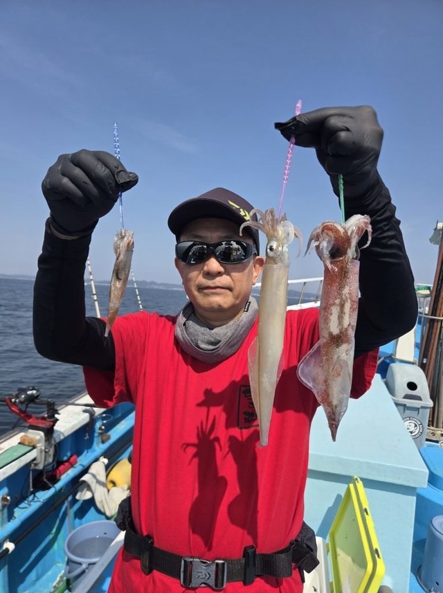 イカ(ヤリイカ)