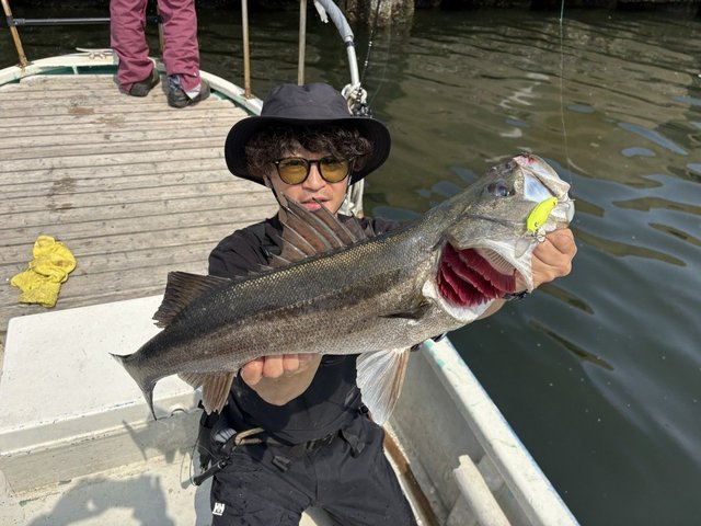 シーバス(スズキ)