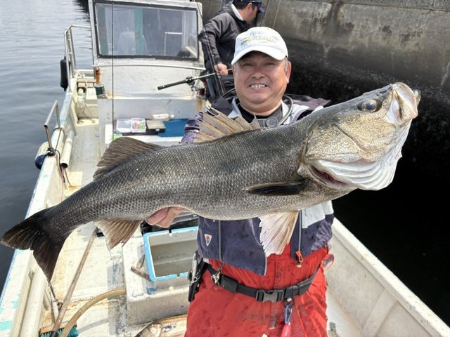 シーバス(スズキ)