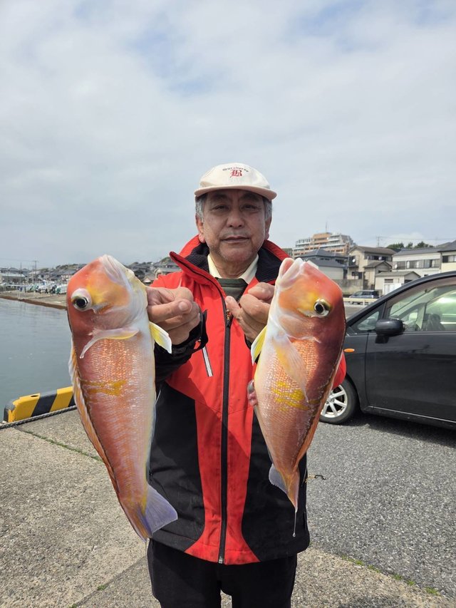 アマダイ(アカアマダイ)