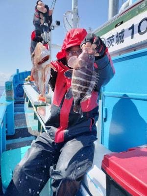 マハタ・カナガシラ