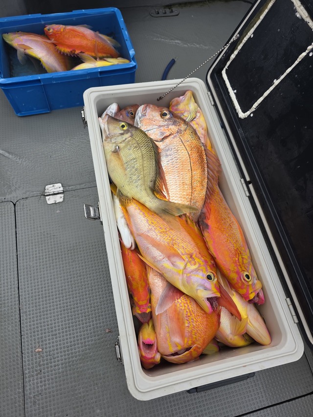 マダイ・アカイサキ