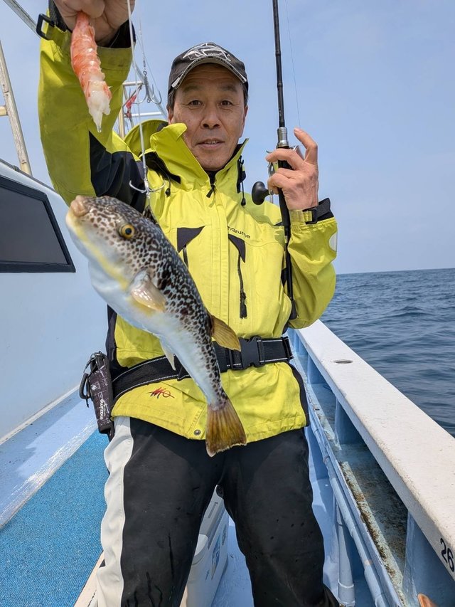 ショウサイフグ